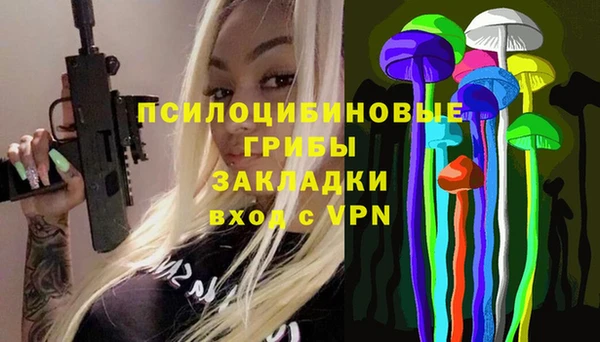дурь Нефтегорск