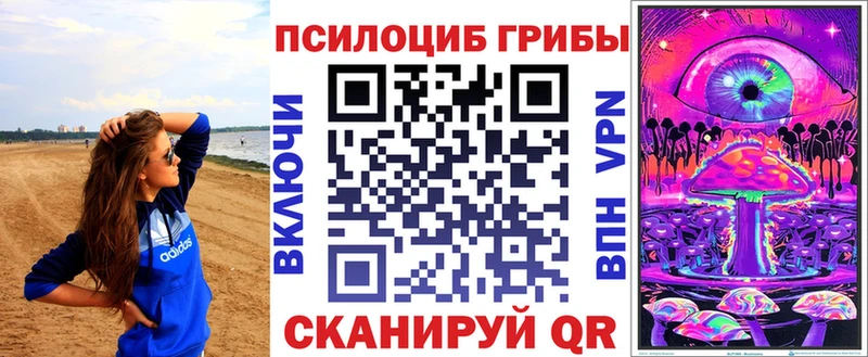 KRAKEN зеркало  Новотроицк  Галлюциногенные грибы Psilocybine cubensis 