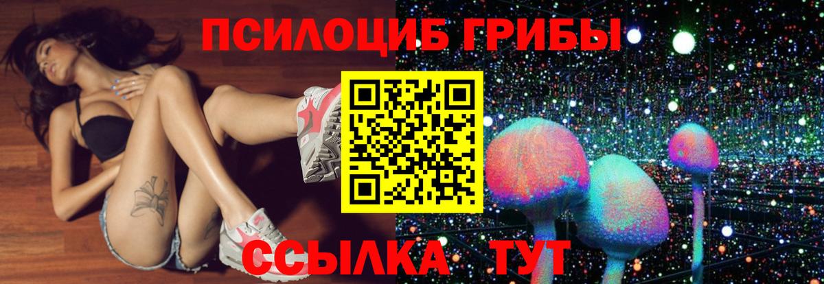 Галлюциногенные грибы Psilocybe Новотроицк