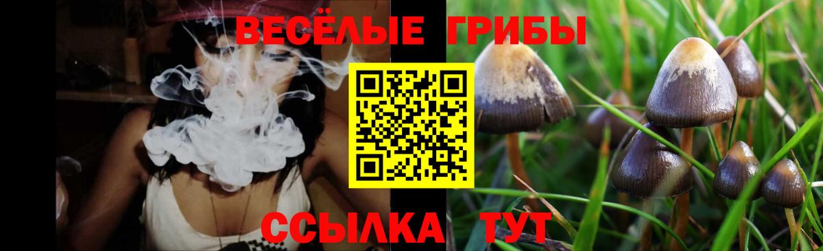 Alpha-PVP СК   Марихуана  АМФ   МЕФ кристаллы  ЭКСТАЗИ  КОКАИН  Новотроицк  Гашиш  КЕТАМИН 